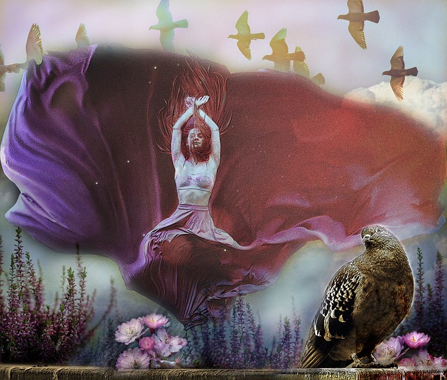 林加德和薩 林加德和薩