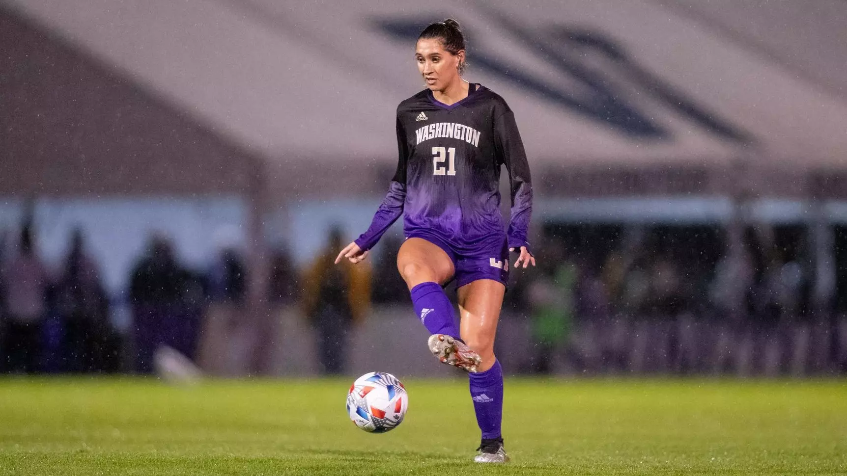 是硕果累累 是硕果累累