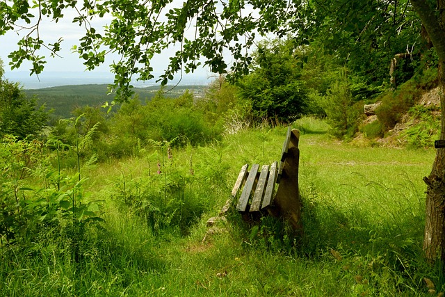 标的强队 标的强队