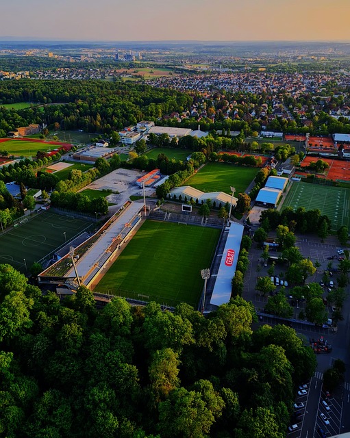 弗里克深谙 弗里克深谙