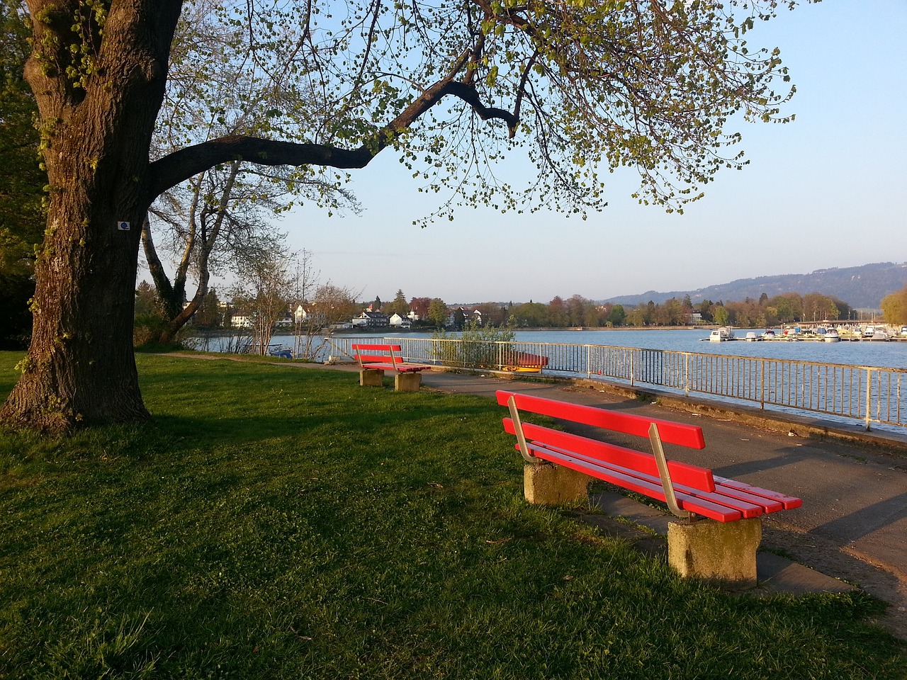 军的湖人队 军的湖人队